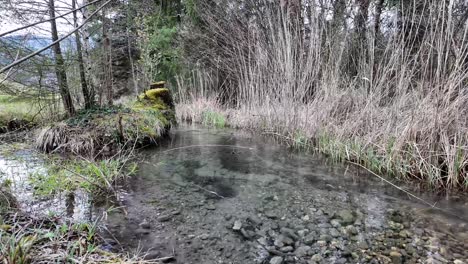 Secluded-nature-spot,-clear-water-river-creek-near-the-Swiss-Alps