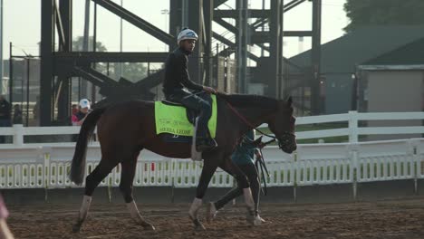 Imágenes-De-Sierra-Leona,-Un-Contendiente-Para-El-Kentucky-Derby-150,-Haciendo-Ejercicio-Por-La-Mañana-En-Churchill-Downs,-Preparándose-Para-La-Carrera.