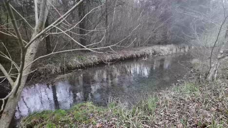 Clear-water-creek-river-in-the-nature-forest-with-tree,-water-flowing