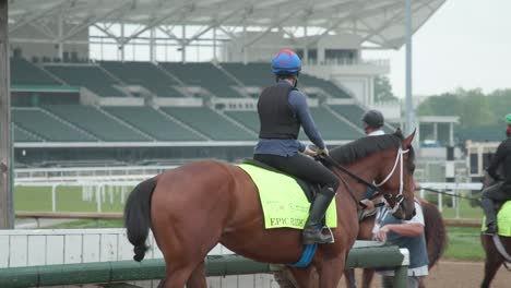 Aufnahmen-Des-Epischen-Kentucky-Derby-Pferdes-Auf-Dem-Weg-Zum-Morgendlichen-Training-In-Churchill-Downs,-Die-Die-Konzentrierte-Vorbereitung-Auf-Das-Große-Rennen-Zeigen