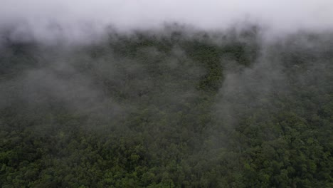 Aerial-View-of-Clouds-and-Fog-Above-Dense-Green-Rainforest-and-Wilderness