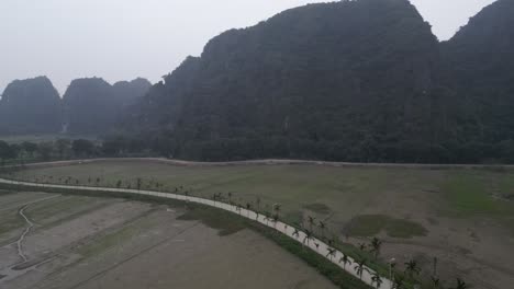 Ciclista-Cabalgando-Por-Campos-De-Arroz-De-Color-Verde-Brillante-En-La-Región-Montañosa-De-Ninh-Ninh-En-El-Norte-De-Vietnam