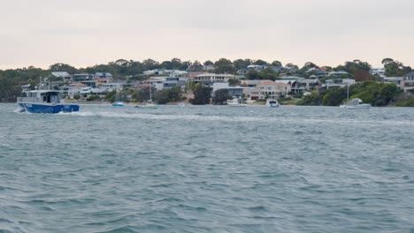 Vida-Frente-Al-Agua-Vista-Desde-Un-Río-En-Australia