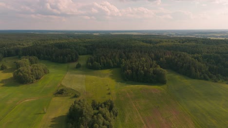 Aerial-flight-of-green-forest-during-the-sunny-day,-green-landscape-and-scenic-view-4k-60fps