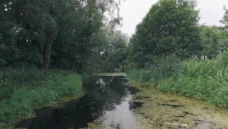 Drohne-Fliegt-über-Dem-Sumpfwasser,-4K-Kinoaufnahme,-60 fps