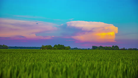 Bunte-Wolken-Im-Sonnenuntergangshimmel-über-Grünen-Feldern