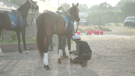 Footage-of-a-rider-carefully-taping-a-race-horse's-ankles,-showcasing-the-care-and-preparation-involved-at-Churchill-Downs-before-a-race