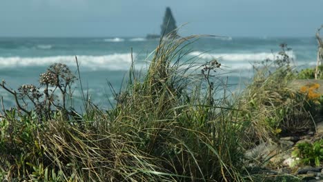 Long-grass-in-the-foreground-and-the-atlantic-ocean-on-the-background-inPortugal