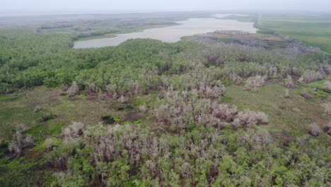 Vista-Aérea:-Ecosistema-De-Vida-Silvestre-De-Humedales-Amazónicos-En-América-Del-Sur,-Revelación-Del-Lago-Inclinado