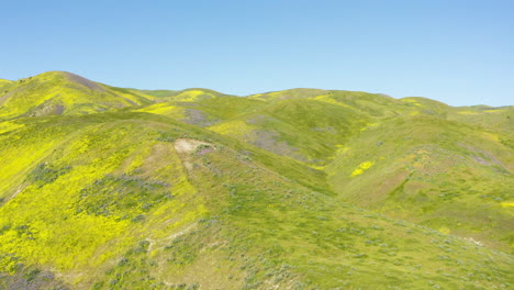 Vista-Aérea-De-La-Súper-Floración-En-El-Rango-De-Temblor,-Estribaciones-Del-Monumento-Nacional-Carrizo-Plain