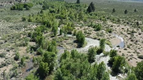 Panoramic-view-of-desert-vegetation-at-Mono-Lake,-California,-USA