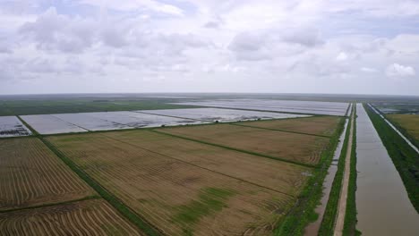 Aéreo:-Grandes-Campos-Abiertos-De-Arroz-Inundados-Con-Huellas-De-Neumáticos-De-Tractor,-Río-Que-Fluye-A-Través-De-él,-Paisaje-En-Nickerie-Surinam