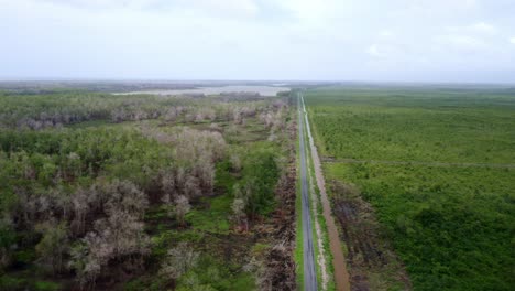 Aerial:-Amazon-wetland-wildlife-ecosystem,-asphalt-road-through-jungle