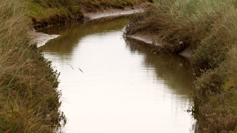 Mid-shot-of-sandy-tidal-inlet-stream-on-at-mud-flats-Saltfleet,-Louth,-Lincolnshire