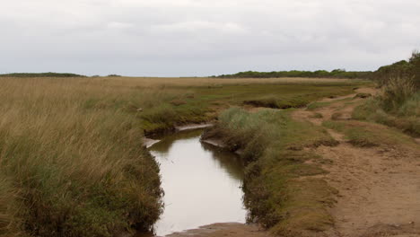 Wide-shot-of-sandy-tidal-inlet-stream-on-at-mud-flats-Saltfleet,-Louth,-Lincolnshire