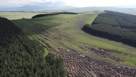 Aerial-shot-of-valley-surrounded-by-mountains-country-road-car-passing-through-forest-meadows