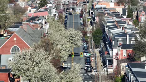 Vista-Aérea-De-Una-Encantadora-Calle-Pequeña-Llena-De-árboles-En-Flor-Y-Edificios-Históricos,-Que-Muestra-La-Pintoresca-Arquitectura-Y-El-Vibrante-Ambiente-Comunitario