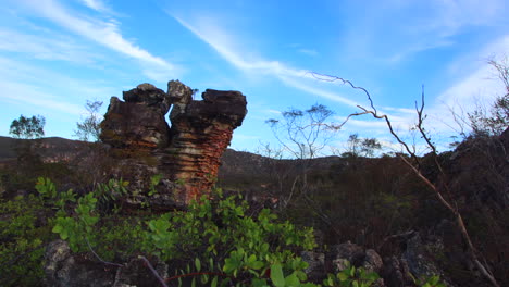 Timelapse-Del-Hábitat-De-Arbustos-Tropicales-Brasileños-Con-Afloramiento-Rocoso