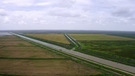 Aerial:-Big-open-rice-fields-with-river-flowing-through,-drone-flyover-in-Nickerie-Suriname