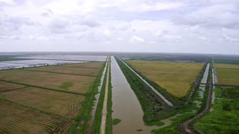 Aerial:-Big-open-flooded-rice-fields-with-river-flowing-through,-drone-flyover-in-Nickerie-Suriname