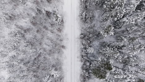 Drone-facing-downwards-and-flying-along-empty-snowy-winter-road-in-Sweden