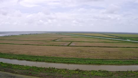 Aerial:-Big-open-flooded-rice-fields-with-tractor-tire-tracks,-canal-flowing-through,-drone-flyover-in-Nickerie-Suriname