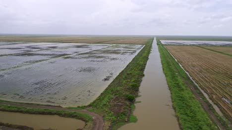 Aerial:-Big-open-flooded-rice-fields-with-tractor-tire-tracks,-canal-flowing-through,-landscape-scene-in-Nickerie-Suriname