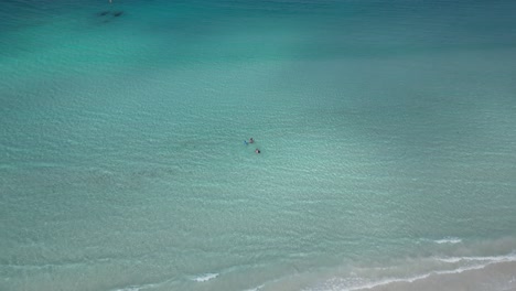 Familia-Jugando-En-Aguas-Cristalinas-De-Color-Turquesa-De-La-Bahía-De-Bremer-En-Australia