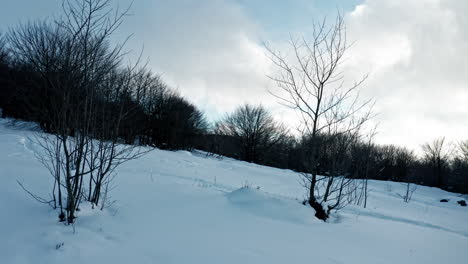 Verschneite-Waldlandschaft-Unter-Bewölktem-Himmel-Mit-Kahlen-Bäumen-Und-Unberührtem-Schnee