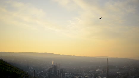 Stadtbild-Bei-Sonnenaufgang-Mit-Einem-Vogel,-Der-über-Einer-Nebligen-Stadtskyline-Fliegt,-Schwenkaufnahme