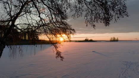 Hazel-tree-on-side-of-frozen-lake,-sunset-over-snow-covered-lake,-winter-Sweden