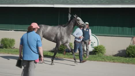 Footage-of-a-veterinarian-conducting-a-thorough-inspection-of-a-horse-at-Churchill-Downs,-ensuring-health-and-readiness-for-the-race