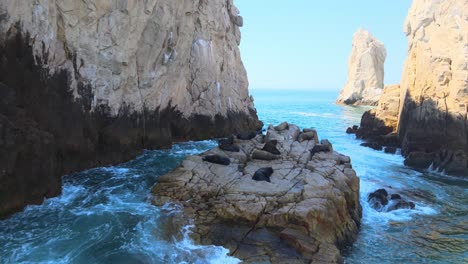 Sea-lions-resting-on-a-rock-in-Los-Cabos,-Cabo-San-Lucas,-Marine-life