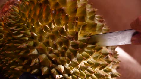 Hand-use-Knife-to-cut-Durian-Fruit-Open,-Close-Up