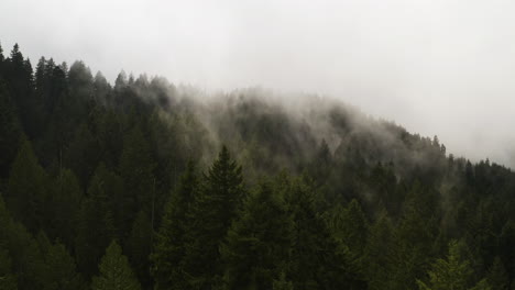 Nebel,-Dunst-Oder-Wolken-Steigen-Entlang-Des-Waldes-Am-Hang-Auf,-Während-Eine-Drohne-über-Die-Bäume-Fliegt,-Pnw