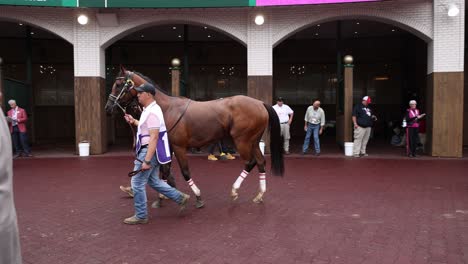 Imágenes-Del-Kentucky-Derby-150-Contendientes-Reunidos-En-El-Paddock-De-Churchill-Downs,-Preparándose-Para-La-Prestigiosa-Carrera.