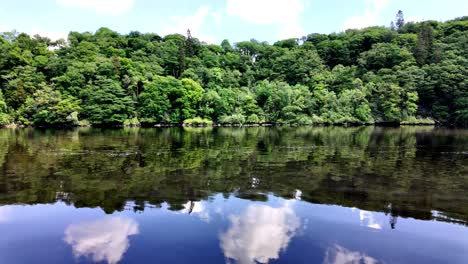 Irlanda-Lugares-épicos-Río-Que-Fluye-Suavemente-Densos-árboles-Verdes-En-La-Orilla-Del-Río-Día-Relajante-Río-Blackwater-En-West-Waterford