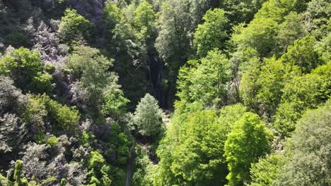 Aerial-view-of-waterfall-surrounded-by-green-planets-and-stones