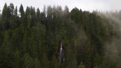 Small-waterfall-emerges-at-base-of-evergreen-trees-covered-in-dense-fog-in-PNW