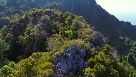 Sonnenlicht-Scheint-Auf-Einen-Dichten,-Lebendigen-Grünen-Wald,-Der-Einen-Berghang-In-Südostasien-Bedeckt