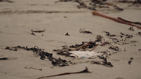 Washed-out-rubbish-on-sandy-beach,-static-view