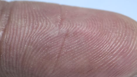 Human-hand-index-finger-lines-extreme-close-up