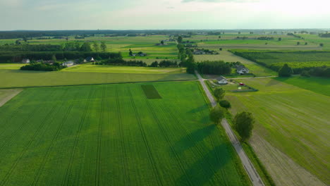 The-green-palette-of-the-rural-landscape-and-a-cyclist-wandering-through-it’s-beauty