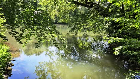 Still-lake-water-with-tree-and-sky-reflection-in-it