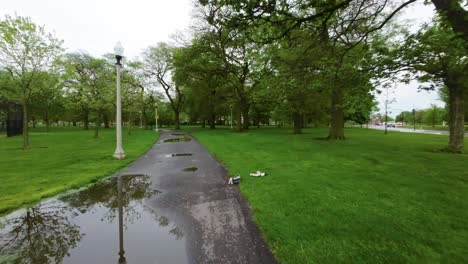 Imágenes-De-Drones-FPV-De-Un-Vuelo-A-Alta-Velocidad-A-Través-De-Un-área-De-Parque-De-Chicago-Después-De-Una-Fuerte-Lluvia