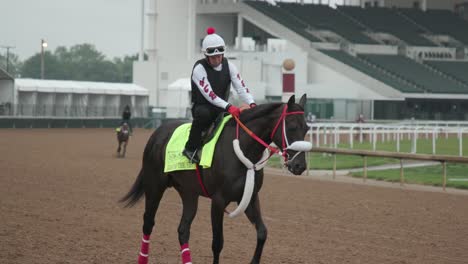 Imágenes-Del-Derby-Grand-Mo,-Un-Contendiente-Del-Derby-De-Kentucky,-Caminando-Por-La-Pista-Durante-Los-Entrenamientos-Matutinos-En-Churchill-Downs.