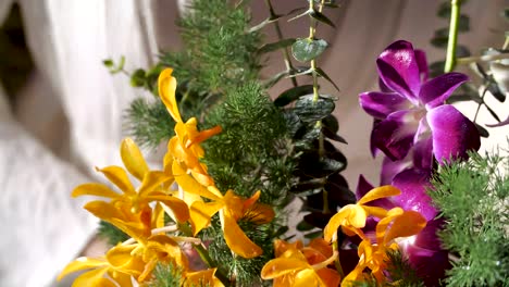 Beautiful,-Colorful-Orchid-Flower-Arrangement,-Close-Up