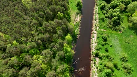 Aerial-view-of-a-river-between-trees-in-summer