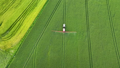 Vista-Aérea-De-Un-Tractor-Rociando-Fertilizante-En-Un-Vasto-Campo-Verde,-Creando-Filas-Precisas