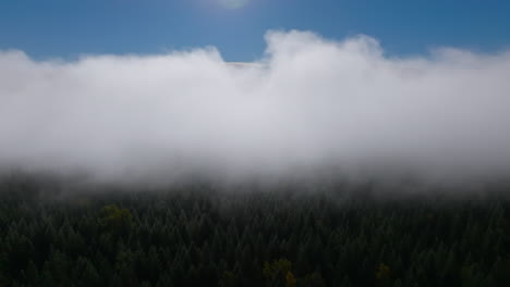 Drohne-Folgt-Langsam-Zwischen-Dicken-Wolken-über-üppigen-Grünen-Wald